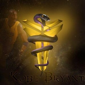 Meet your Posher, Damarrion